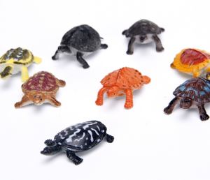 2 Inch High Quality Plastic Sea Turtles Capsule Toy