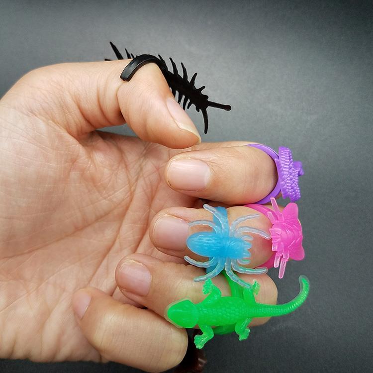 animal ring 1