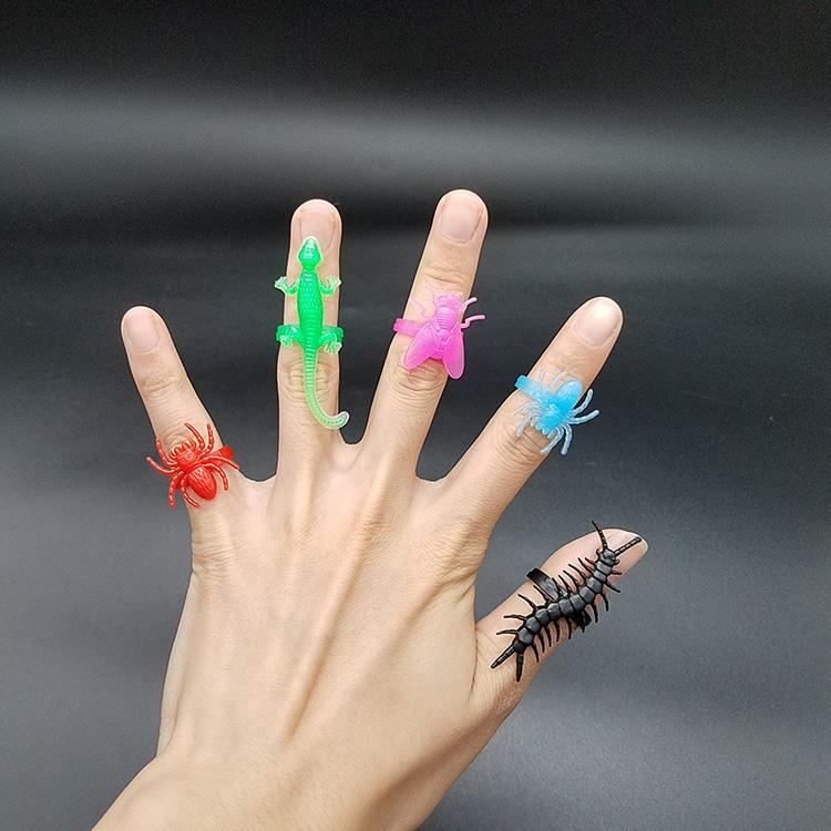 animal ring 6