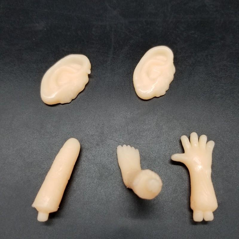 horrible organ toy (4)