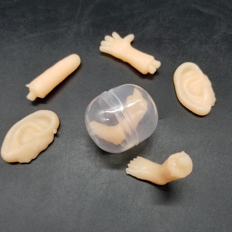 horrible organ toy (3)