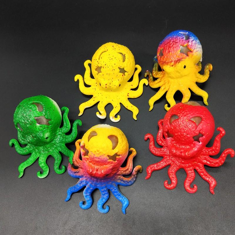 squeeze octopus -6
