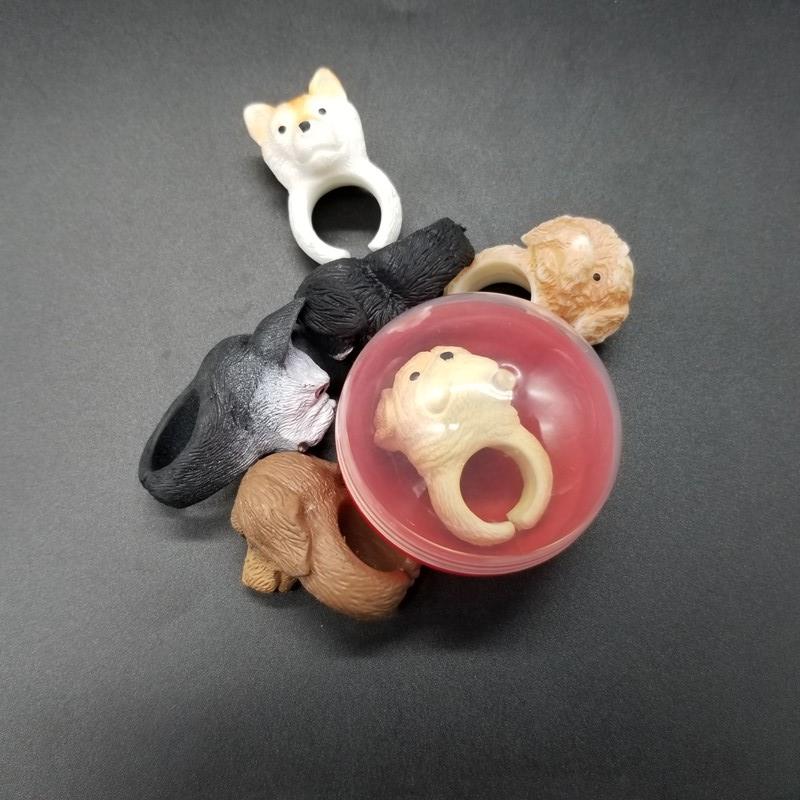 Dog animal ring (4)