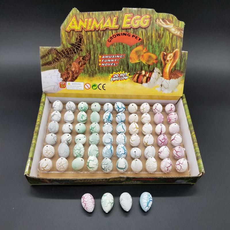 Hatching Dinosaur Egg