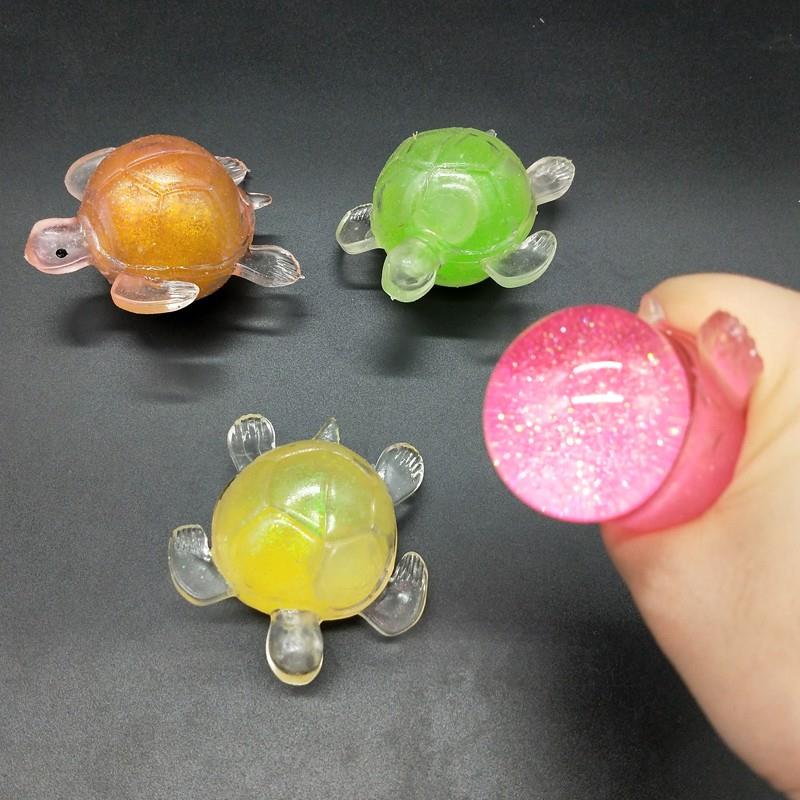 squeeze tortoise 2