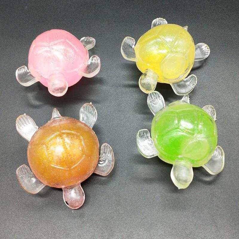 squeeze tortoise