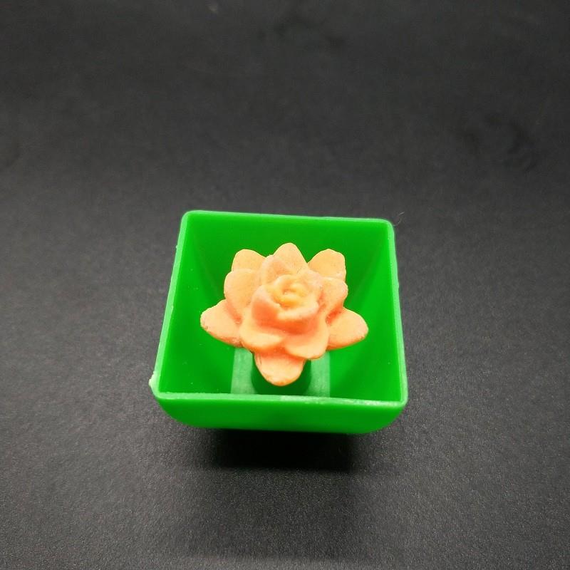 growing flower (3)