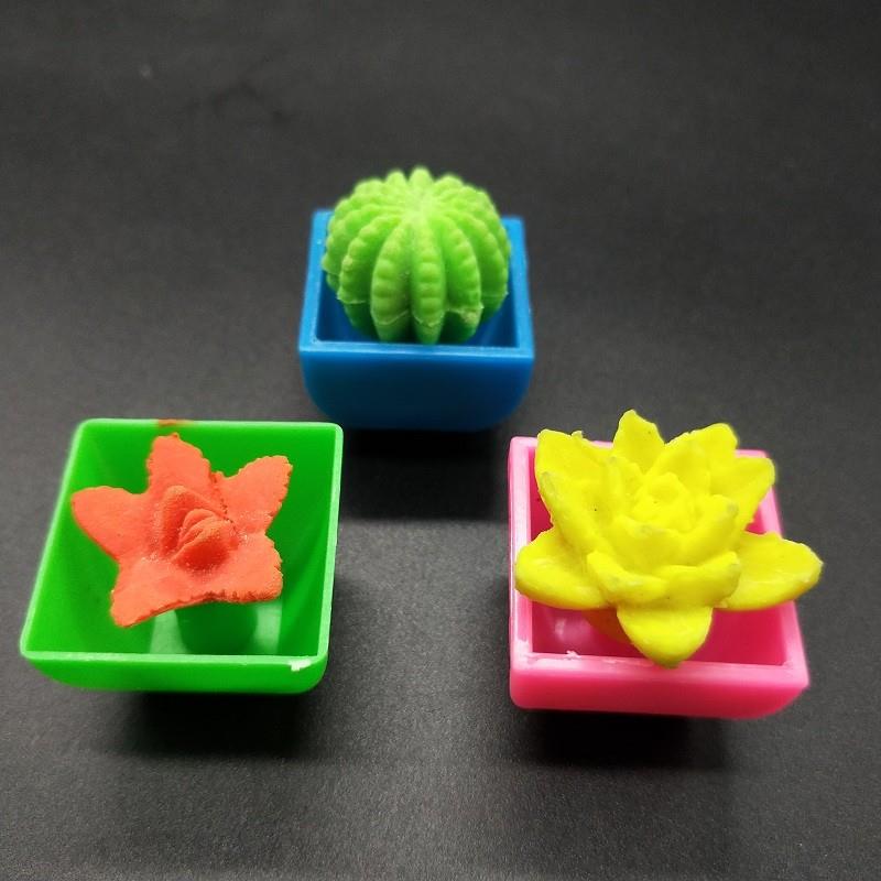growing flower (1)