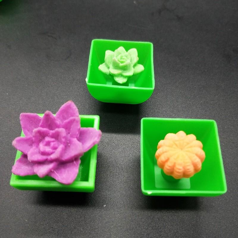 growing flower (2)