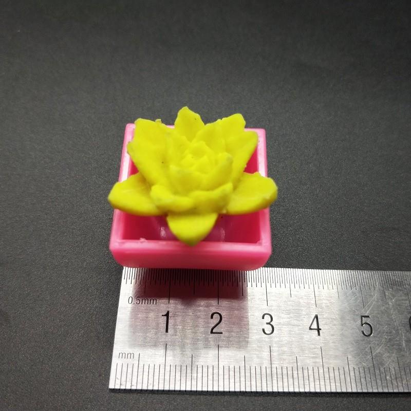 growing flower (7)