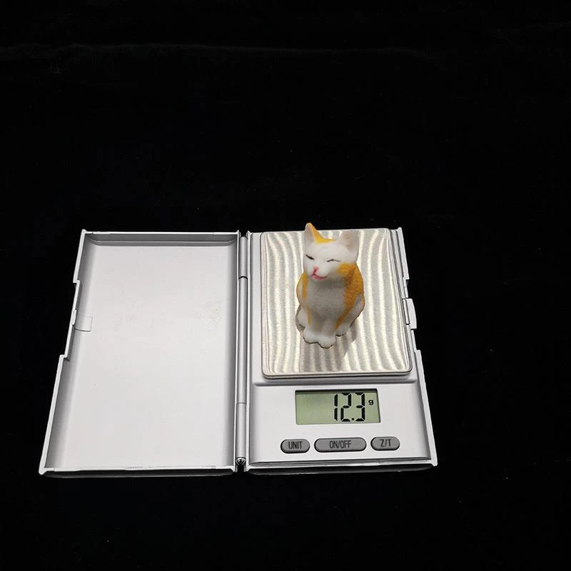 cute cat figure(1)