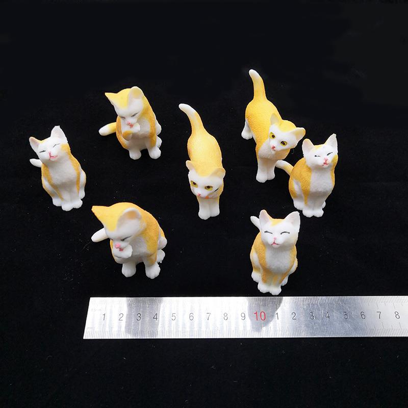 cute cat figure(2)