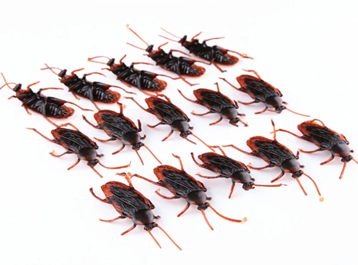 Wholesale Joke Toy Cockroach