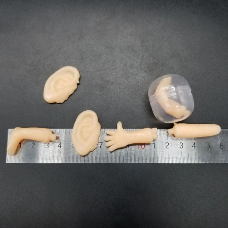 Sticky Horrible Organ Toy For Plastic Capsule