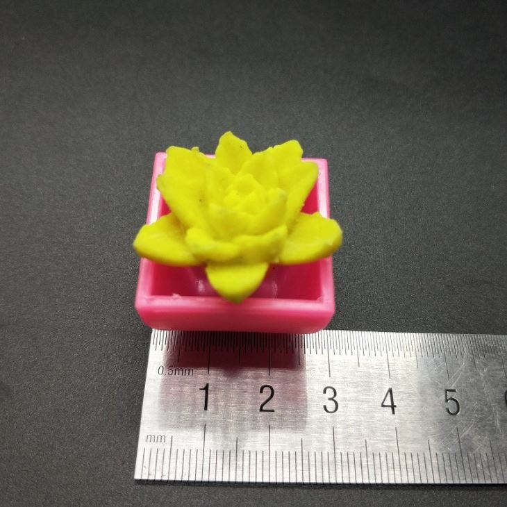 Water Growing Plant Flower Capsule Toy