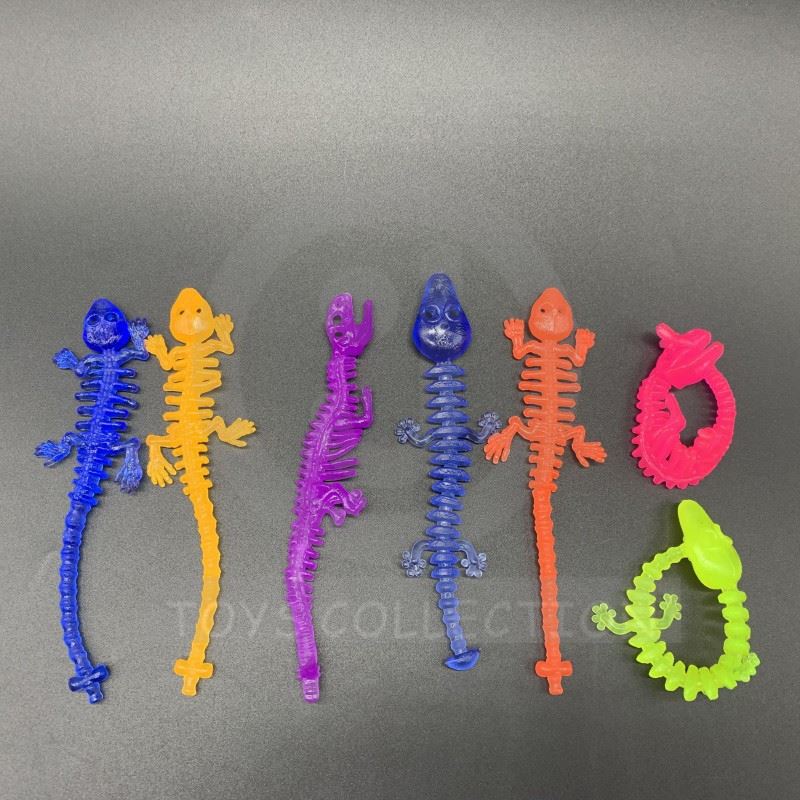 Animal skeleton7